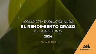 ¿CÓMO ESTÁ EVOLUCIONANDO EL RENDIMIENTO GRASO DE LA ACEITUNA  2024 [upl. by Harbard]