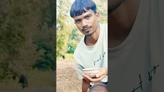 My busy hu khet bari m 🥰 trending shorts viral villagelifestyle shortvideo [upl. by Cordula]