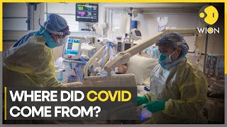 Covid origin China began developing two vaccines before official outbreak  English News  WION [upl. by Grogan]