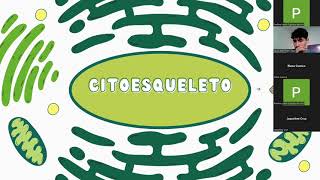 Citoesqueleto [upl. by Onirotciv]