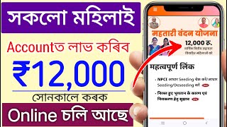 New Scheme 2024  PM Matru vandhana Schem online apply  how to online apply pmmvy [upl. by Oicaroh]