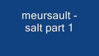 Meursault  Salt Part 1 [upl. by Ramed532]