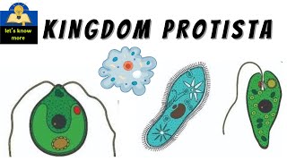 kingdom protista [upl. by Krantz578]