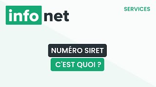 Le numéro SIRET cest quoi  définition aide lexique tuto explication [upl. by Muna531]