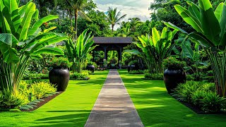 Creating a Lush Oasis Beautiful Oasis Garden Landscape Ideas for Your Home [upl. by Adorl]