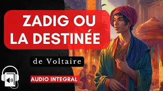 Zadig de Voltaire livre audio resume [upl. by Mixie]