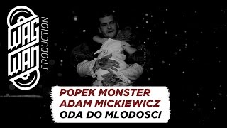 POPEK MONSTER INTERPRETATION ADAM MICKIEWICZ  ODA DO MLODOSCI [upl. by Anderea]