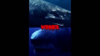 Mega shark vs the meg [upl. by Tiffi]