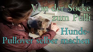 Hundemantel selber nähen  von der Socke zum Pulli  Hundemantel stricken  Hundepulli Hundepullover [upl. by Miyasawa]