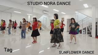 Green Green Grass  Line Dance Choreo Norawati INA November 2024 [upl. by Keemahs]