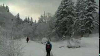 Hokkaido Powder Guides Skiing Daisetsuzan [upl. by Witty]