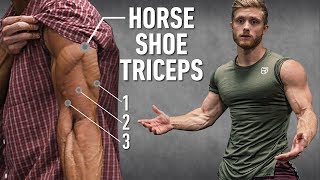 How To Grow quotHorseshoequot Triceps By Changing Arm Positions Technique Explained [upl. by Ynaffi]