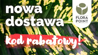 🌼 Kalendarzowa wiosna i kod rabatowy  przegląd roślinnych nowości  Flora Point [upl. by Constantino848]