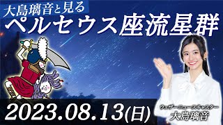 【流星LIVE】大島璃音キャスターと見るペルセウス座流星群ライブカメラin沖縄県／ 2023年8月13日日20時〜 [upl. by Soirtimid950]