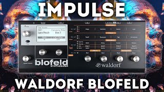 Waldorf Blofeld  quotImpulsequot 40 Presets Soundset [upl. by Adiv]