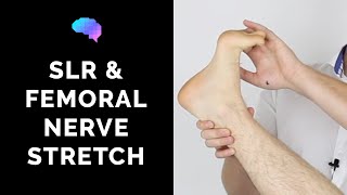 Straight Leg Raise amp Femoral Nerve Stretch Test  OSCE Guide  Clip  UKMLA  CPSA [upl. by Idola]