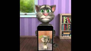 Talking Tom Plays Talking Tom 2 [upl. by Georg900]