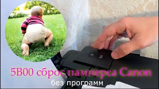 Canon ошибка 5B00 сброс памперса без программ [upl. by Tanaka]