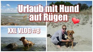 XXL VLOG 8  Urlaub mit Hund auf Rügen [upl. by Llerrahs]