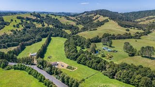 Drive Matakana Valley Road Scenery North Island 🇳🇿 New Zealand [upl. by Nilson821]