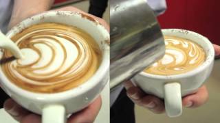 Impact English College BaristaCafe English [upl. by Maurie873]