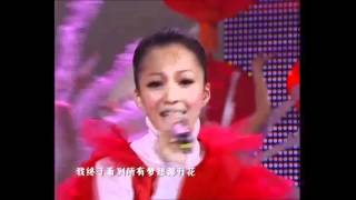 高清隐形的翅膀张韶涵央视春晚2007 [upl. by Eilujna160]