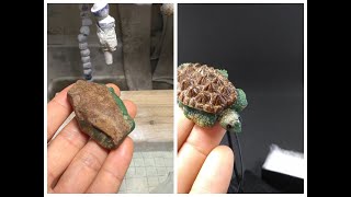 Gemstone carving Hand Carved Chrysoprase turtle [upl. by Akinahs]