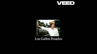 Chalino Sanchez IA  Los Gallos Pesados [upl. by Ernesta]