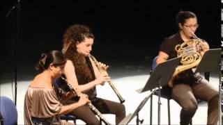 Rafi Bracha CONSORTIUM MUSICUM ISRAEL W A Mozart [upl. by Docilu]