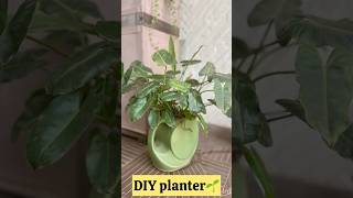 Day7 of DIY Planter series 🌱diyplanters shorts [upl. by Yand]