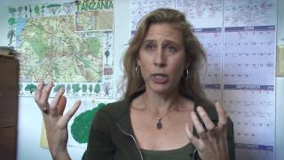 FAU Faculty Spotlight  Dr Maria Fadiman [upl. by Terrence]