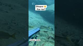 Подводная охота на Канарских островах 235M Как так🤬 spearfishing pescasubmarina tenerife [upl. by Kowatch853]