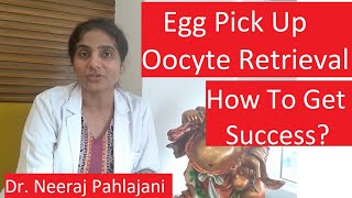 IVF Treatment  Egg Pickup Day  How To Get Success In Oocyte Retrieval [upl. by Tien]