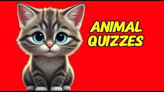 Cute animal quizz⚡ [upl. by Esinej]