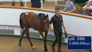 2000000gns Frankel Colt Highest Priced Yearling in Europe in 2023 [upl. by Sirkin421]