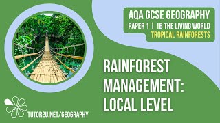 Rainforest Management Local Level  AQA GCSE Geography  Tropical Rainforests 10 [upl. by Maurene]