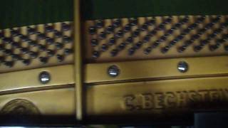 Bechstein Model M [upl. by Flo745]