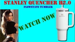 Stanley Quencher H2 0 FlowState Tumbler [upl. by Awra162]