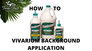 Using Titebond 3 for Building Vivarium Backgrounds [upl. by Melania]