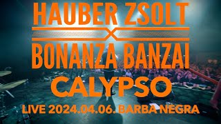 Hauber Zsolt X Bonanza Banzai  Calypso I Live I Music video [upl. by Samuel877]