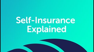 SelfInsurance Explained [upl. by Romain]