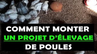 COMMENT MONTER UN PROJET DÉLEVAGE DES POULES [upl. by Juliann]