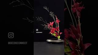 art flowers florist seedsconnect amor acommeamor autumnlafite garden indonesia [upl. by Neelloj]