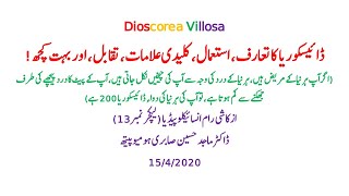 Dioscorea Villosa Homeopathic Medicine in Hindi Lecture 13 37acutemedicine [upl. by Mis]