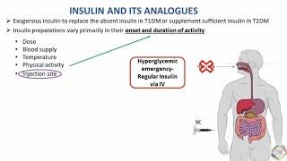 INSULIN AND ITS ANALOGUES [upl. by Danika]