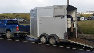 North Kerry Harriers hunt Ballybunion 2020 [upl. by Ardnuat]