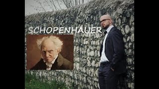 Arthur Schopenhauer Volontà di vivere «vita pendolo tra dolore e noia» e lamore come illusione [upl. by Eirret]