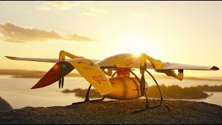 Deliver Future  DHL Parcelcopter 40 in Tanzania  Trailer II [upl. by Vano]