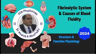 Fibrinolytic System Physiology amp Causes of Blood Fluidity 112024 by Dr Khaled A Abulfadle [upl. by Ecinereb]