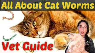 All about cat worms Everything You Need to Know About Worms in Cats What are the signs of worms [upl. by Noira]